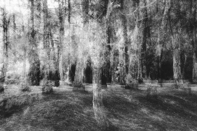 Stefano David. Atomi, paesaggi della memoria