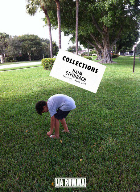 Haim Steinbach. Collections Haim Steinbach. Collections
