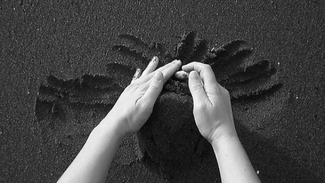 Giulia Vasta. Le forme dell'assenza Giulia Vasta. Le forme dell'assenza