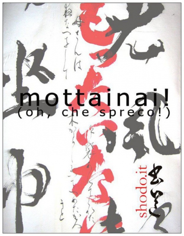 Mottainai