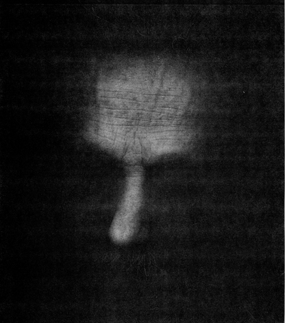 Beppe Carrino. 'Scritture del corpo' Beppe Carrino. 'Scritture del corpo'
