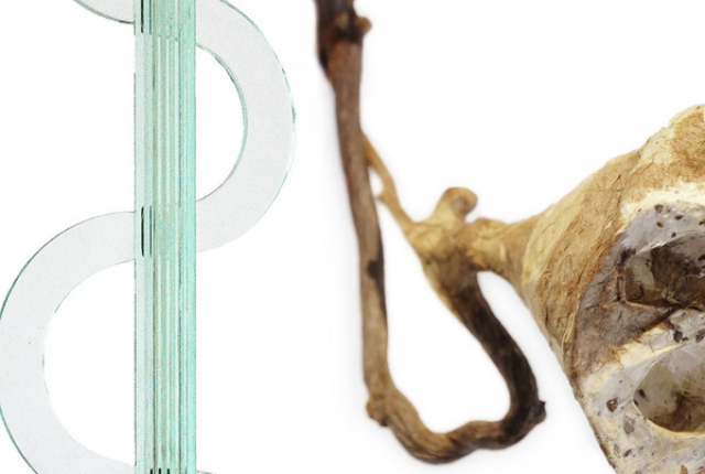 Yumiko Kimura - Akiko Fujimoto. Un incontro possibile.