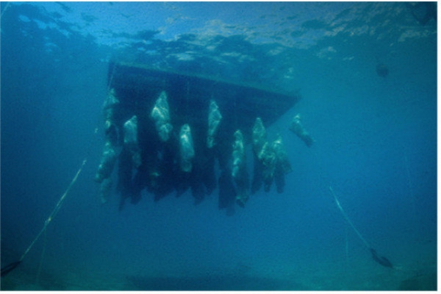 Displacements. The Trouble With Being Human These Days