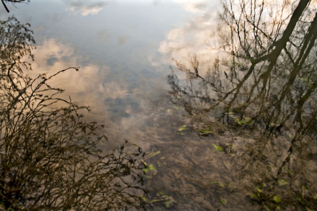 Pina Inferrera. Dalla luce nell'acqua