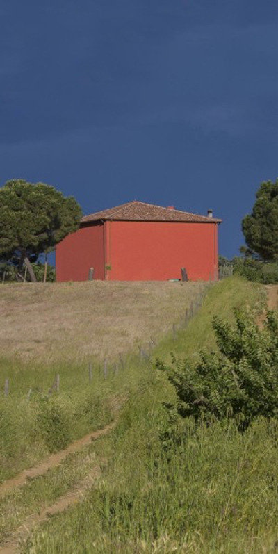 Moira Ricci. Capitale Terreno Moira Ricci. Capitale Terreno