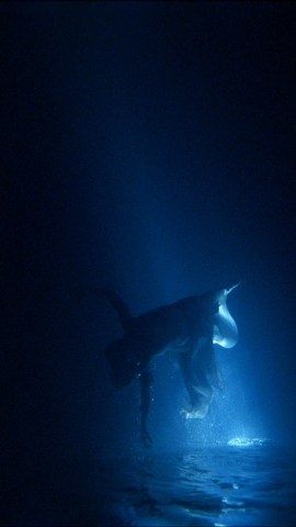 Bill Viola e Giovanni Lanfranco. Eterne visioni tra presente e passato Bill Viola e Giovanni Lanfranco. Eterne visioni tra presente e passato