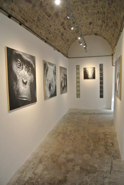 Minigallery Assisi Contemporary Art