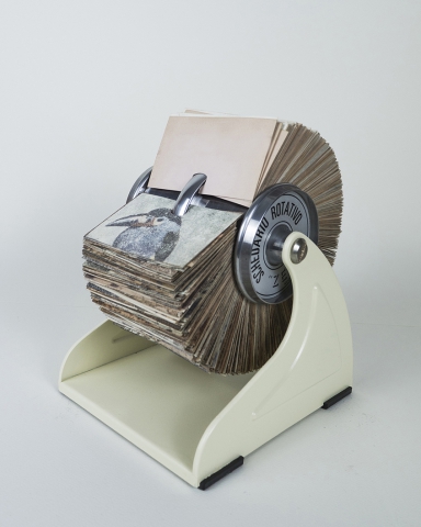 Francesco Ciavaglioli "Fremo Immagine"