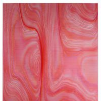 Patrick Tabarelli "Ghost in the Machine"