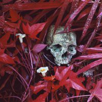 Richard Mosse "Displaced Migrazione, Conflitto e Cambiamento climatico"