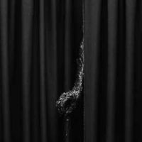 Lüthi e Raceviciute