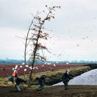 Richard Long, Jeff Wall e Enrico Castellani