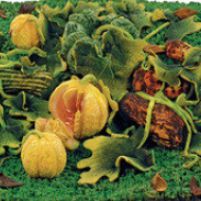 Eat Art - Arte in Tavola