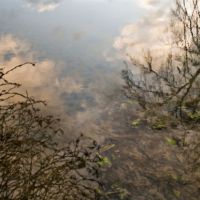 Pina Inferrera. Dalla luce nell'acqua