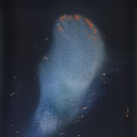 Vasco Bendini. Interrogare la materia