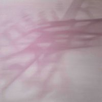 Antonio Marchetti Lamera "Tempo immobile" - Hubert Kostner "Cuts"