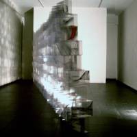 Franca Bernardi. Trasparente