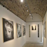 Minigallery Assisi Contemporary Art