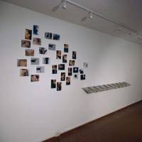 ANTONIO PICARDI: Leaves