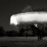 Ugo Ricciardi. Nightscapes