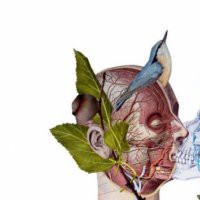 Quarantine group show