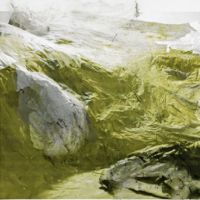 Laura Pugno. Form in progress