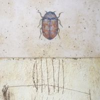 Alfio Edoardo Antognetti. kleines entomologisches