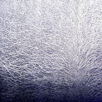 Marina Bindella " L'opera grafica 1988-‐2018"