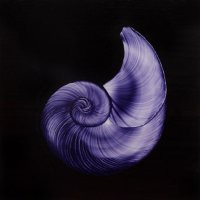 Mario Nalli “Il segreto viola di mare”