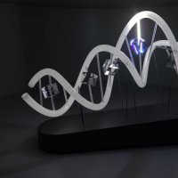 Claud Hesse “Genoma Umano. Quello che ci rende unici”