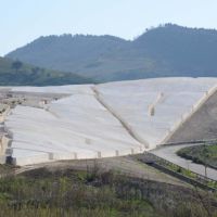 Centenario della nascita di Alberto Burri