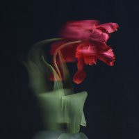 Edoardo Romagnoli "Tulimì"