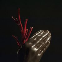 EliZabeth Frolet “Des mains pour rêver”
