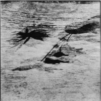 Giuseppe Umberto Cavaliere “Nulla Essenziale”