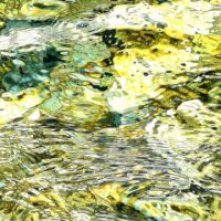 Armaroli, Carafì, Isolabella, Magri, Pica "Sguardi sul mondo"
