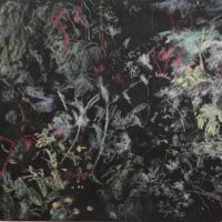 Giuseppe Capitano "Earth’s Heart"