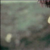 Tonino De Bernardi e Paolo Menzio "Il mostro verde 1967"