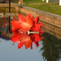 II Biennale di "SCULTURE in Acqua in Piazza in Aria"