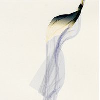 Beatrice Pediconi "Nude"
