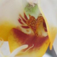 Guido Orsini. Natura delle cose Natura dei fatti Natura della vita