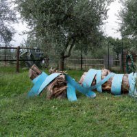 Sculture in campo. III edizione