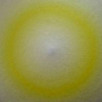 Lisa Bartleson, Max Coppeta, Amedeo Sanzone. Reflections