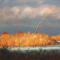 &ldquo;Massaciuccoli. Il lago degli artisti&rdquo;