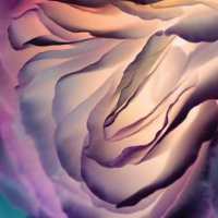 Micaela Mau "Metamorphōsis"