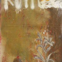 NOBA  "UPWARDS"
