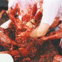 Hermann Nitsch  "Pittura, fotografia e disegni"