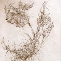 Caterina Sbrana e Delio Gennai "Origine"
