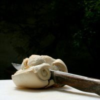 ‘ConDivisioni’ Xiii Rassegna Poesiarte Milano
