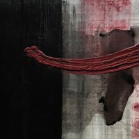 Leonardo Blanco / Luca Zarattini "Paper works"