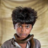 Steve McCurry "Animals"